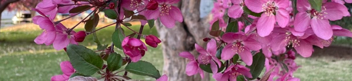 Enjoy and Maintain–My Way of Living Mindfully